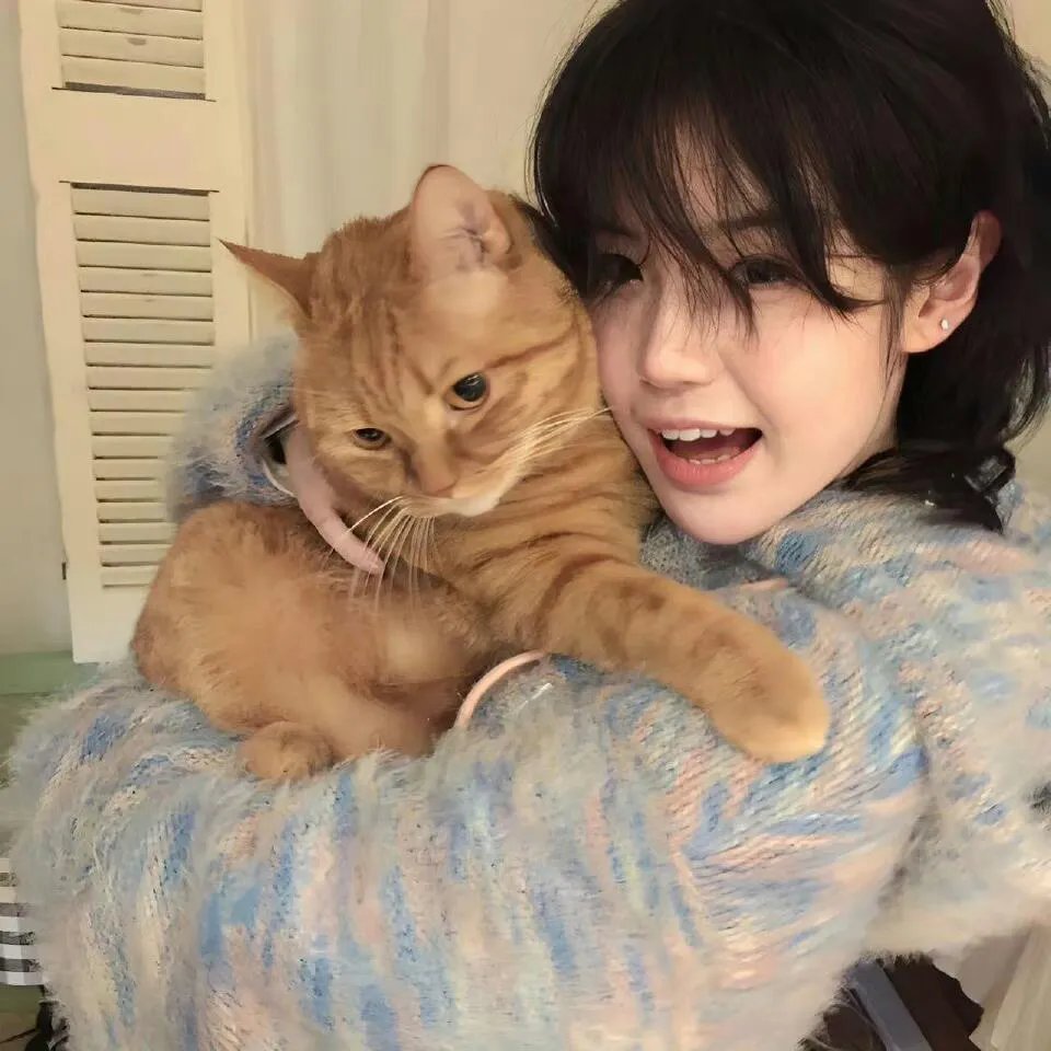 神盾局特工第五季