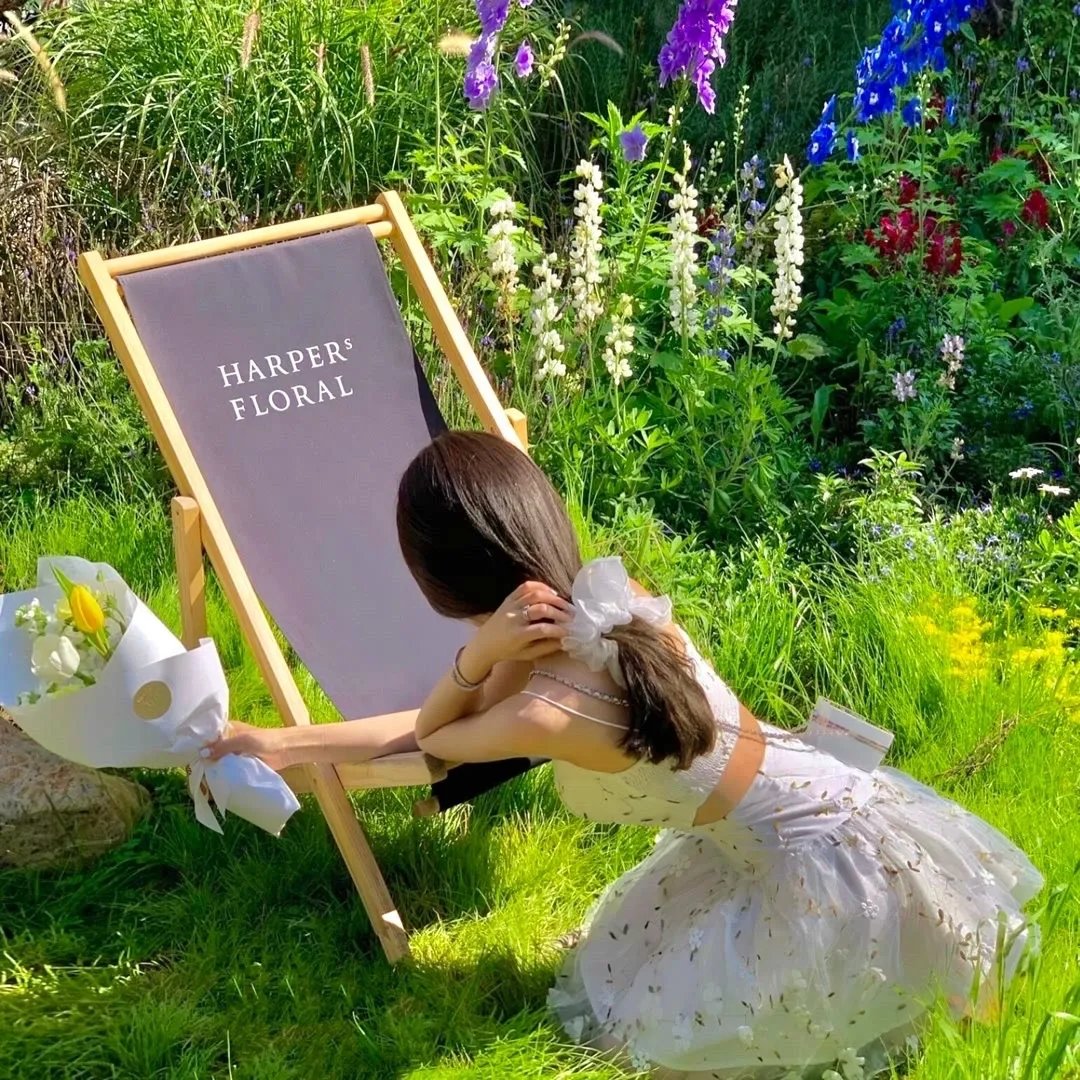 弃黄从正第二季